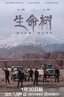 Born to Be Alive (2026) Ep 12 Eng Sub